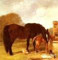 馬と子馬の谷で水をやるニシン シニア ジョン フレデリック